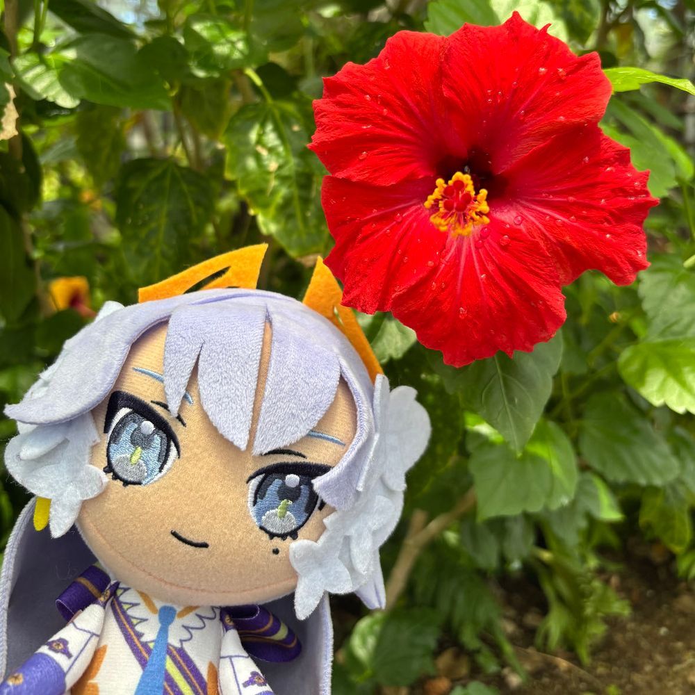 私は、プリンセス・ヴィオラです。
ボタニカミュージアムに行ってきました。

大きな青りんご🍏のオブジェ、とってもかわいいと思うわ。
ハイビスカスとブーゲンビリアのお花さんたちも、素敵だったの。