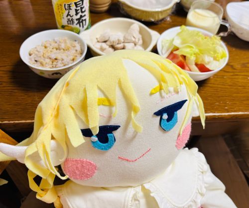 みーちゃんが、晩御飯を作ってくれたのだ💕もち玄米ご飯も、茹でた鶏の胸肉も、サラダもびみ美味ビミ！