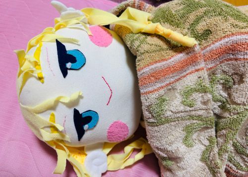 今日は、悲しいことも、嬉しいことも、あったのだろうな…。
タオルケットにくるまって、
そろそろ私はねんねするのだ💕
明日はきっと、良い日なのだ！