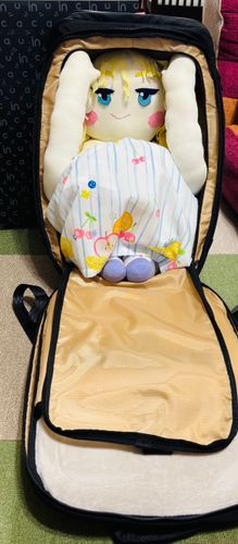 じゃじゃ〜ん！
リュックサックの中なのだ〜💕