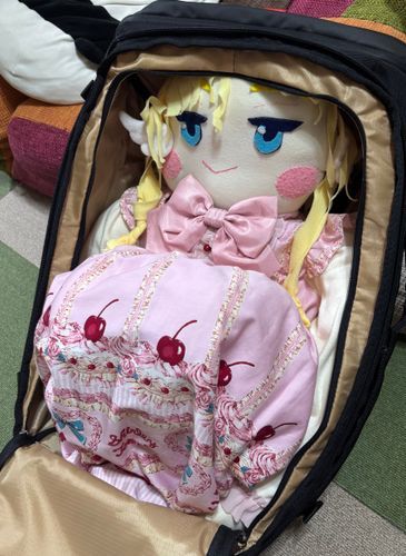 うふふ…(๑･̑◡･̑๑)
これでみーちゃんとお出かけができるのだ💕