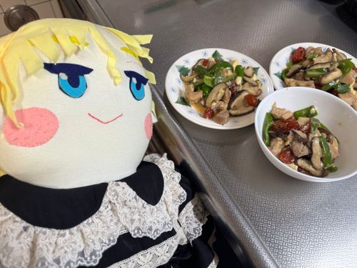 こんにちは💕クロマたんなのだ！
みーちゃんが作った、今日の晩御飯なのだ。
美味しそう…じーっと見ちゃうのだ🥰