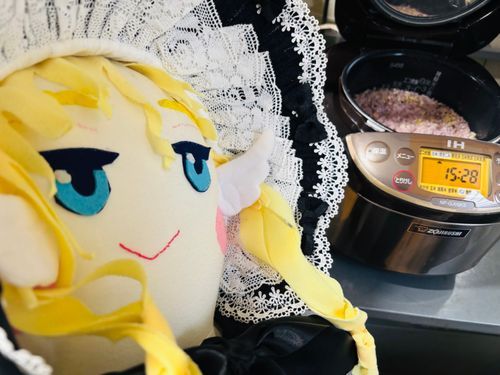 ご飯が炊けたのだ〜💕