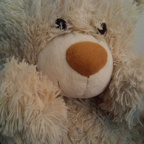 はじめまして！クマさんって言います！パンダさんとおともだちです！むかしからあそばれているので、少し首が上がりにくいですが、それもふくめてかわいいらしいです。よろしくお願いします。