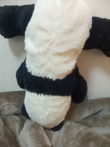 みてみて、さかだち！！すぐたおれちゃったけど、かなりうまくできたとおもってる！