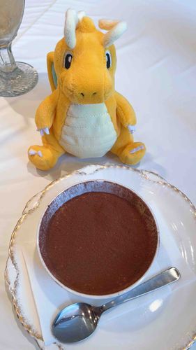 カイリューとティラミス🍰