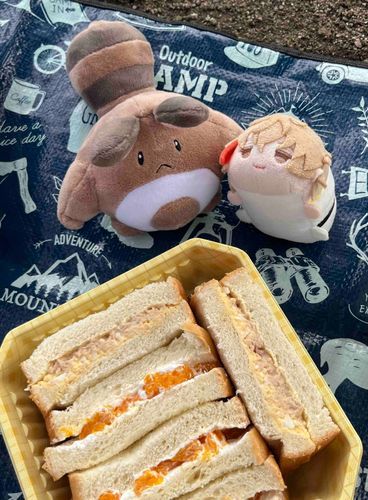ピクニック☺️ツナと卵のサンドウィッチにフルーツサンド🥪🥪楽しいね☺️