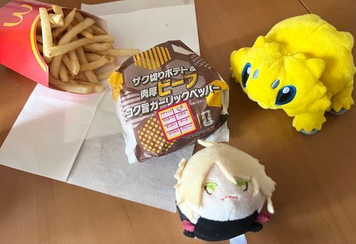 お昼ご飯にマック食べたんだ〜☺️
美味しかった〜❣️