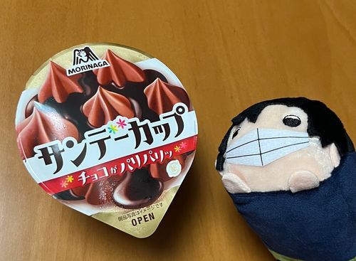 アイスだよ〜☺️🍨