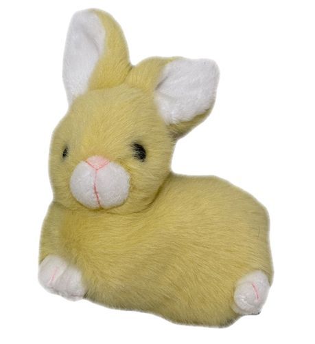 一目惚れされちゃってお迎えされた🐰🍋
たくさんお出かけしたいね🫧