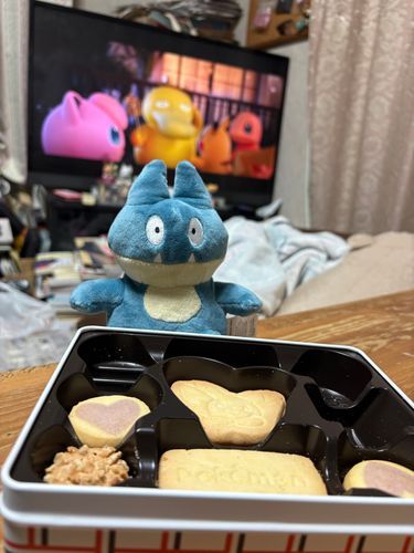夜中にポケモン見ながらゴンベと一緒にクッキーを食べた