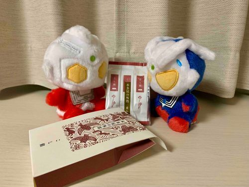 今日のお菓子(本多屋の外郎)
家主の友人がお土産にくれたらしい