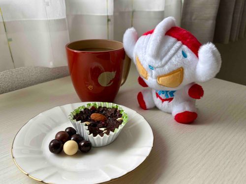 今日のお菓子(家主の作ったガトーショコラもどき)
家主はもう少し美味しそうな見た目のものが作れるように努力するべき