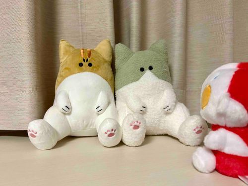 家主が忙しくて全然投稿できなかった間に、新入りが2体増えたよ
ネコチャンらしい