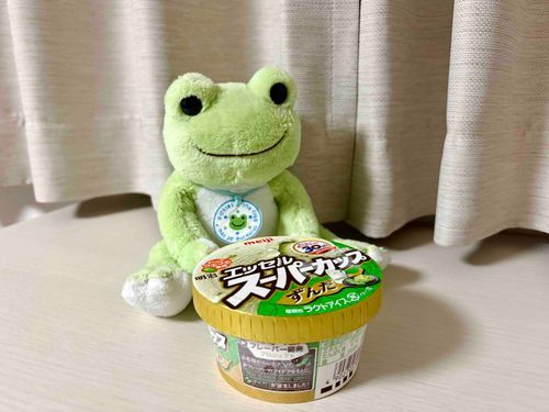 今日のお菓子(スーパーカップずんだ)

そろそろ暑くなってきたし、アイスを買いだめしておかなきゃ