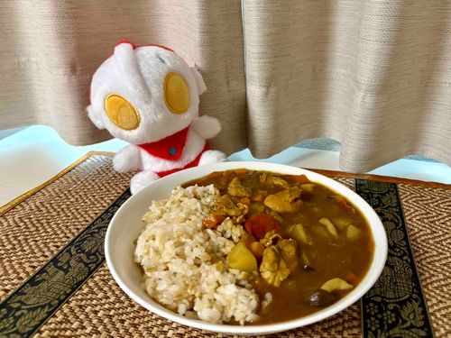 今日の夕ごはん(カレーライス)
電子レンジで作ったカレーらしい