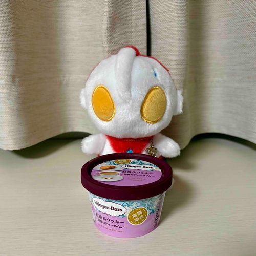 今日のお菓子(買いだめしていたちょっといいアイス)
家主曰く、たくさん歩いて疲れた日はちょっといいアイスを食べても許されるらしい