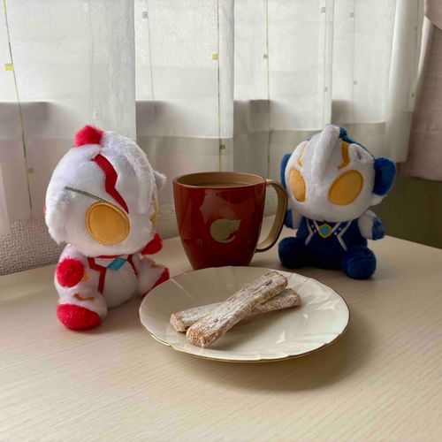 今日のお菓子(湘南チーズパイ)
粉砂糖たっぷりで美味しいね