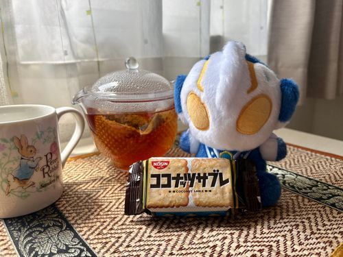 これは今日のおやつのココナッツサブレ
ヨーグルトに仕込んだ余りらしい