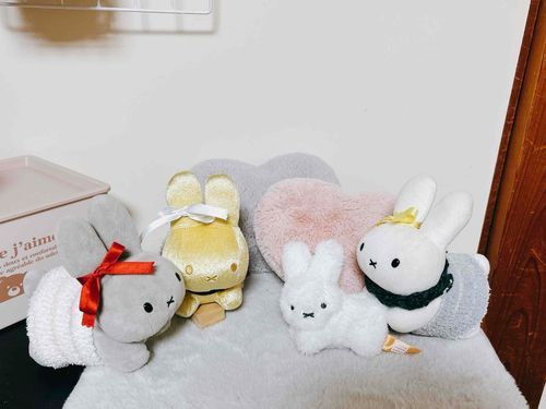 「しろちゃんいるのーこのこはあたらしいおともだちなのー」「「いらっしゃいなのー☀️」」