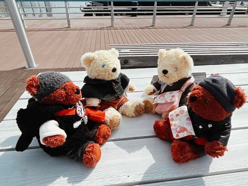 「きょうはおれたちのふたごのきょうだいテデたちとあそんだぞ」「おてんきよくてよかったですね」「つぎはえいがをみにいくやくそくをしたんだ」「たのしみですね」🧸🧸🧸🧸