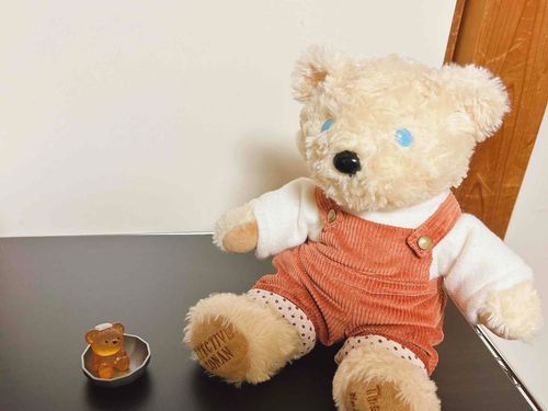 「あたらしいおともだちをしょうかいします。おんせんくまちゃんです。いつもぽかぽかでおだしのいいにおいがします♨️」