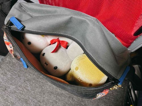 「家主あたらしいおかばんかったのー👜」
「ちっちゃいけどいっぱいはいるのー」
「うちゃぎもはいったのーー！！こっそりいっしょにおでかけする？」