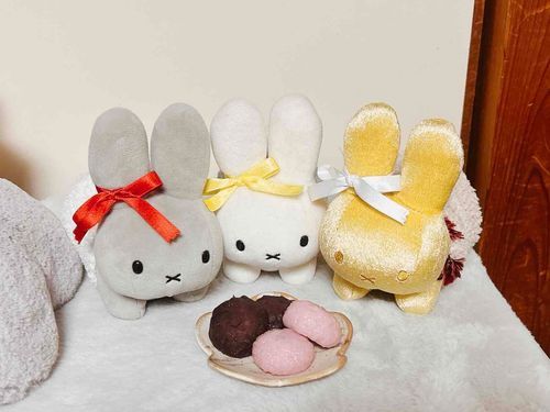 「3がつになって家主いそがしいのー」
「かわりにうちゃぎがぼたもちかってきたのー」
「4こあるから家主にいっこあげるのー」🍡