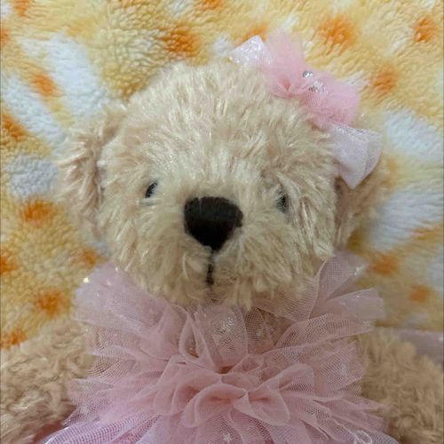 ピンクのドレスがキレイでしょ
🎀💕💓💗
ダイヤモンドやパールもついてるよ

可愛いが大好きなテディベアです