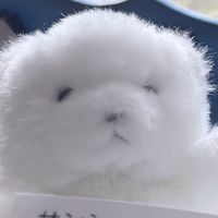 ふうちゃん