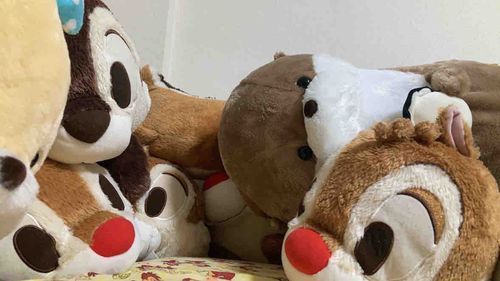 カワウソやリス🐿️系のぬいぐるみが好きです〜
特に大きめなぬいぐるみラブ
気軽に連絡もらえると嬉しみです〜