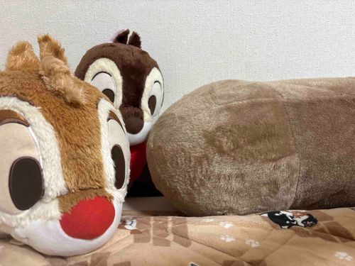 抱っこして寝てた子が朝起きたら背中向けてた時の寂しさ…自分のせいなの分かるんだけど、ガーン😨ってなる
周りの子達に微妙に責められてる目線もつらたんw
この気持ちわかる人たくさんいると良いな。