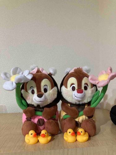 🐣ひよこ子分w