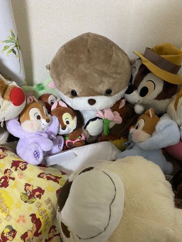 可愛い〜
癒される！
チップもしっかり映り込もうとしている姿も可愛い