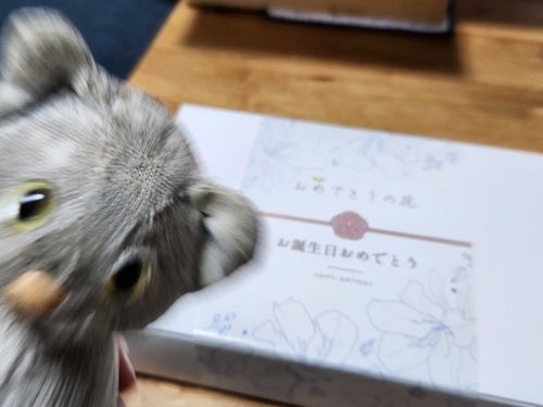 ぼくのぶんも あるんだよね！？