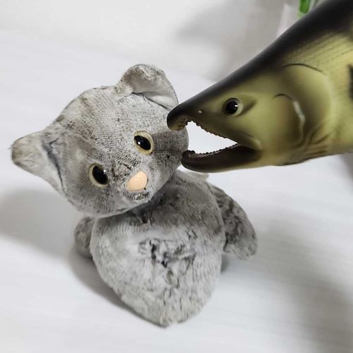 仲良くなりたいみたい
くすぐったいからやめてッ！