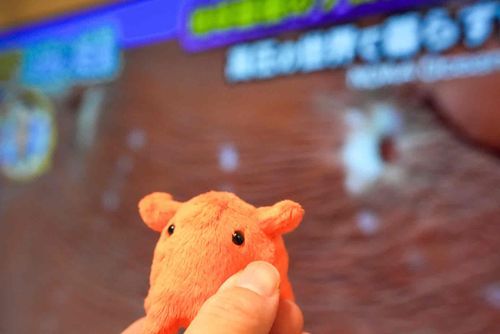 なかまがてれびにっ……！