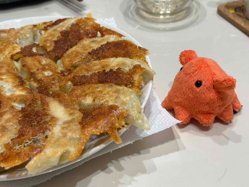 じょうずに焼けたな！