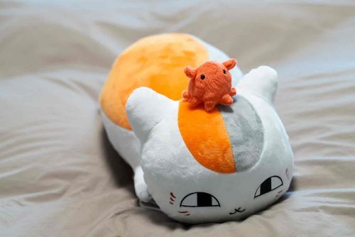 乗り心地はツルフカだ