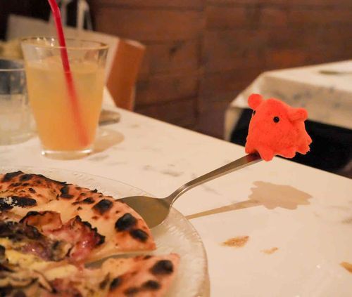 きのこのピザ🍕