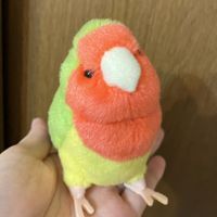 トリちゃん
