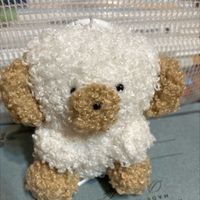 モカカ
