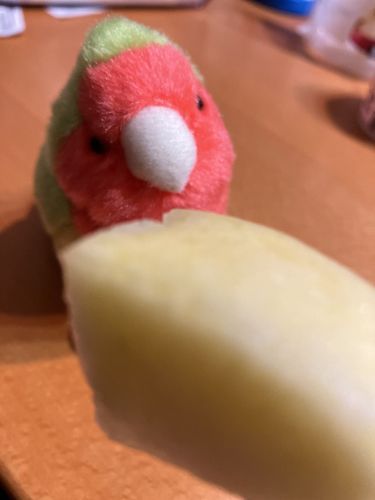りんごしゃくしゃく🍎
おいしいの！