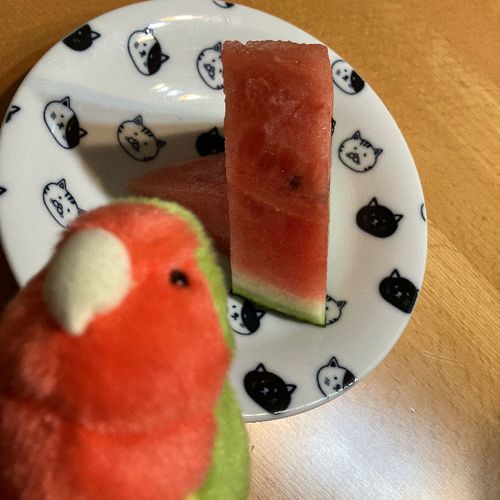 似てるかも！🍉