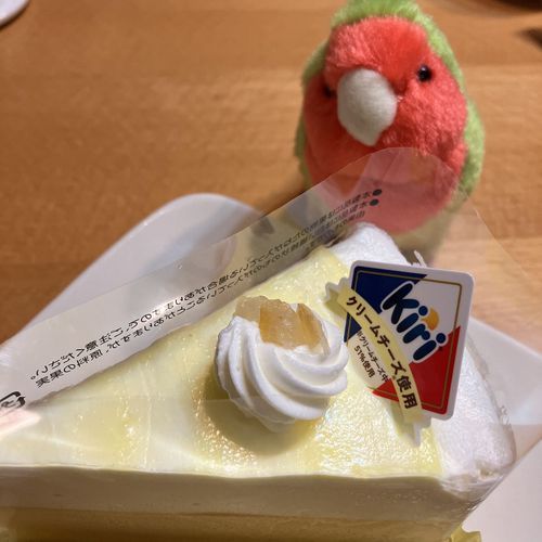 今日はかいぬしのたんじょうび！
だからケーキたべたの。トリちゃんも少しもらったよ！
レモンのすっぱい味がするチーズケーキ、おいしかった🦜