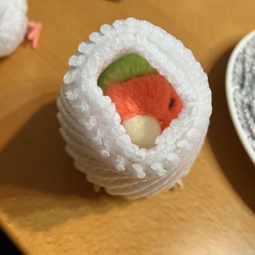 あら、トリちゃん🦜なにしてるの！