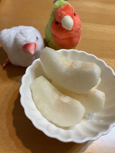梨だよ、ぶんちょちゃん！
って、トリちゃんが教えてあげてます