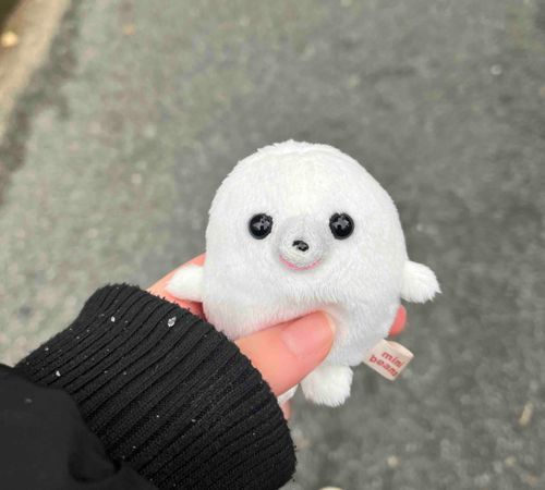 じこしょうかい
なまえ とまと
りゆう 飼い主さんがとまと好きだから