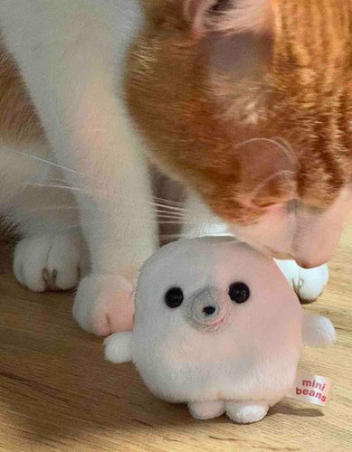 にゃんだこいつ