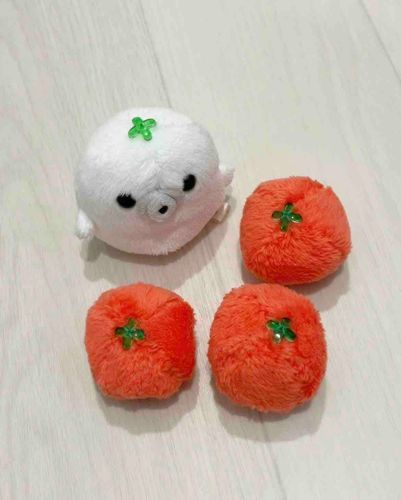 どれが偽物とまとでしょう🍅